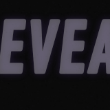 Spin Reveal
